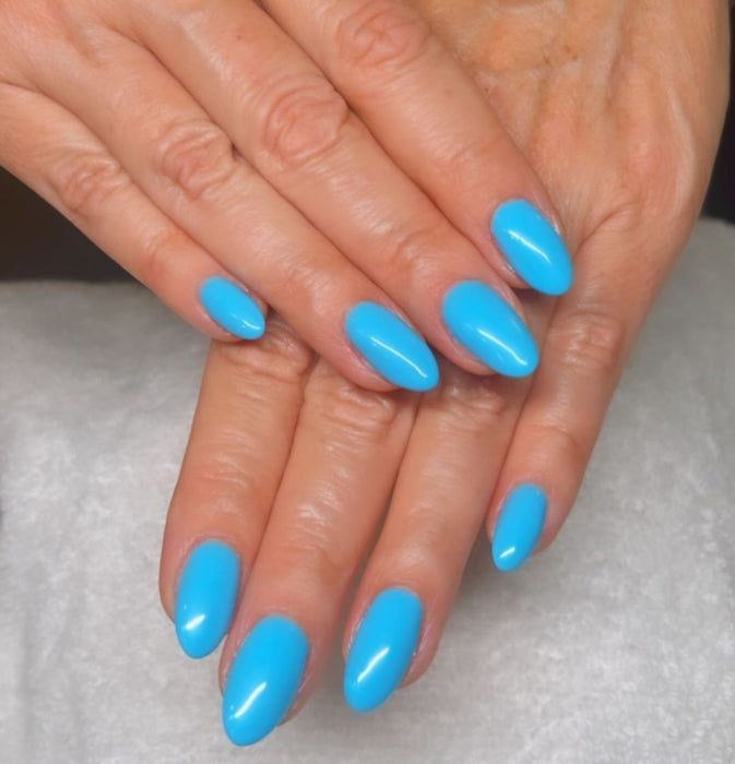 DND - DC Duo - #029 Blue Tint