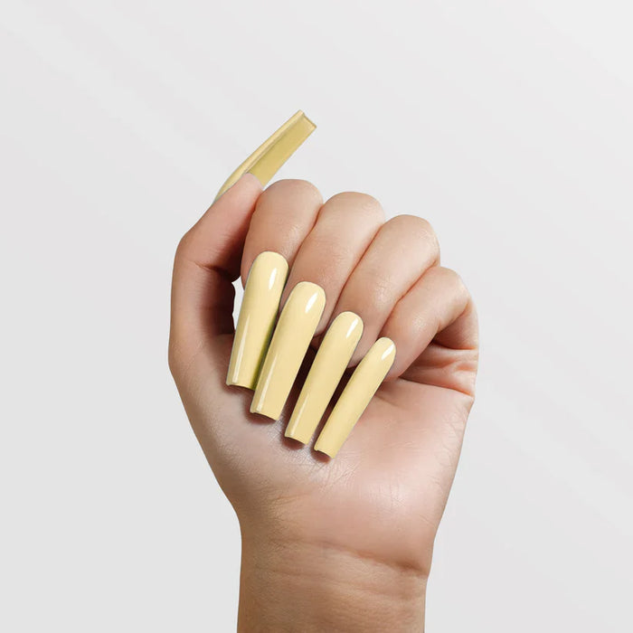 Chaun Legend Acrylic Powder - 146 Let It Bee 2 Oz