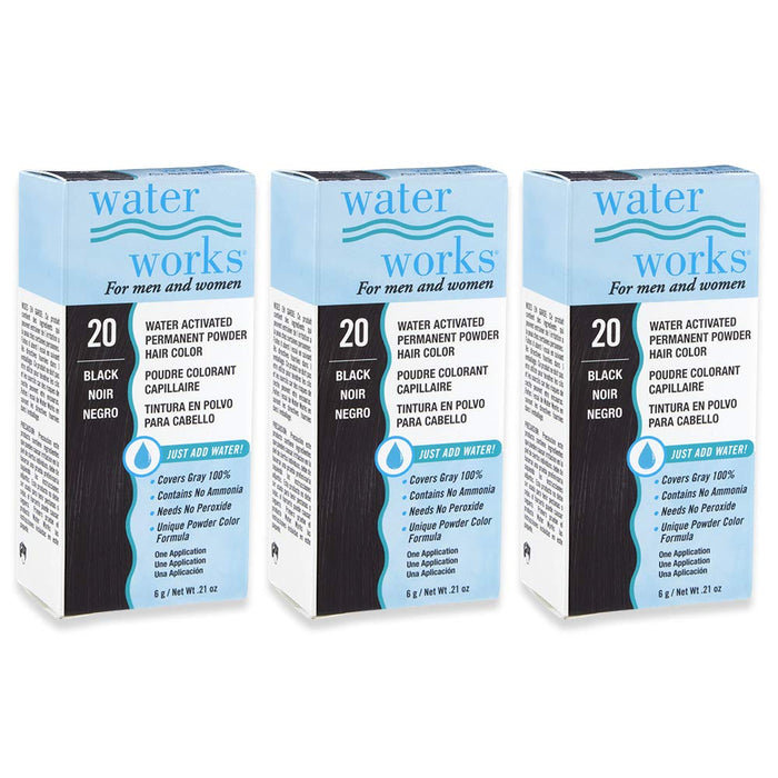Water Works - Permanent Powder Hair Color - #20 Black (3 Pack)
