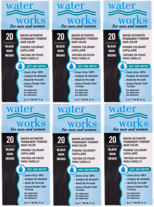 Water Works - Permanent Powder Hair Color - #20 Black (6 Pack)