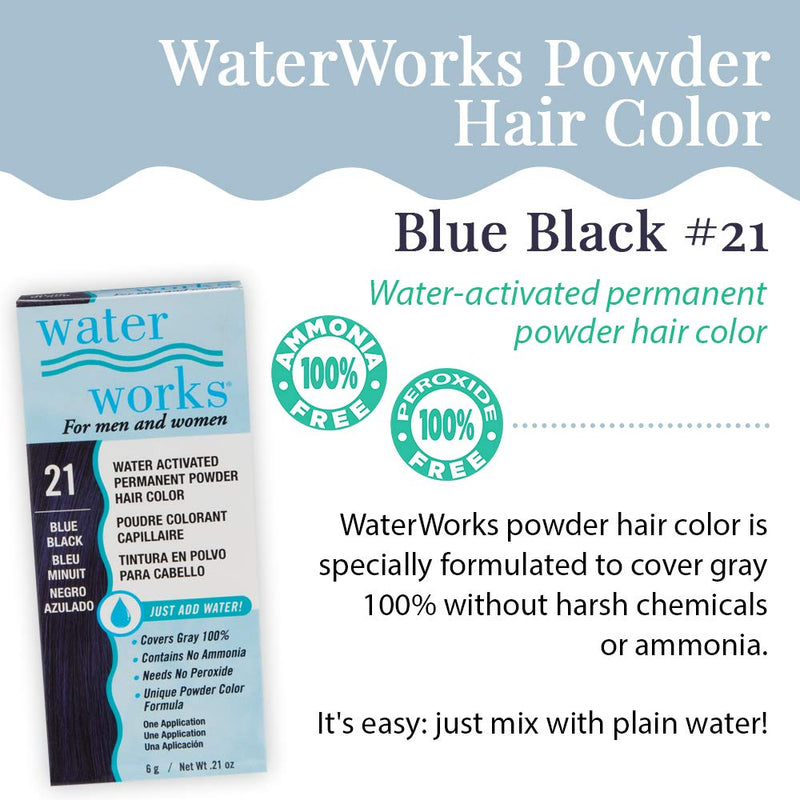 Water Works - Permanent Powder Hair Color - #21 Blue Black (2 Pack)