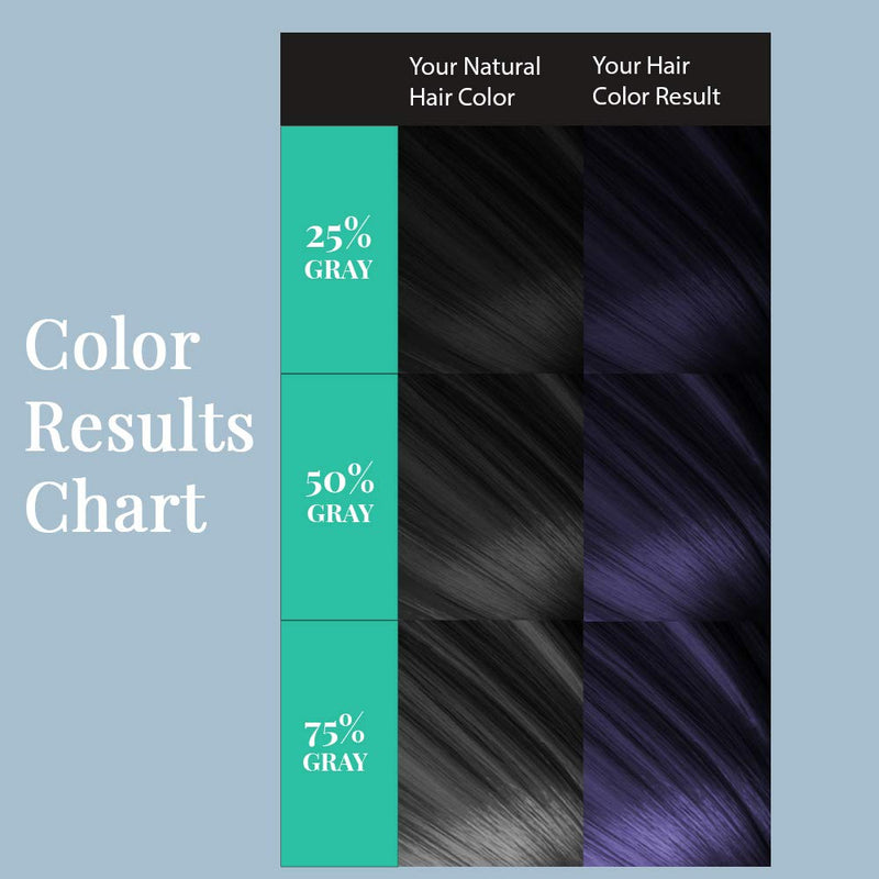 Water Works - Permanent Powder Hair Color - #21 Blue Black (2 Pack)
