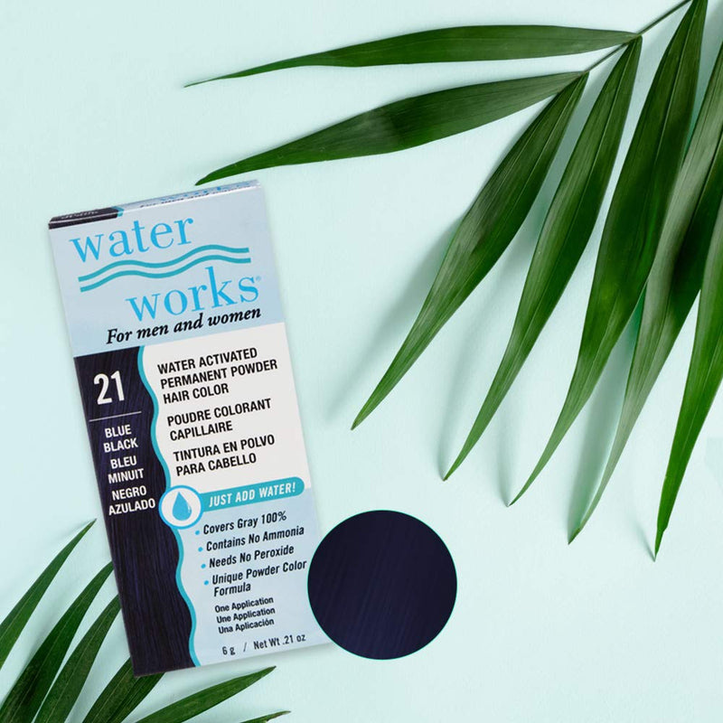 Water Works - Permanent Powder Hair Color - #21 Blue Black (2 Pack)