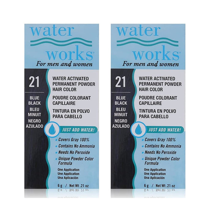 Water Works - Permanent Powder Hair Color - #21 Blue Black (2 Pack)
