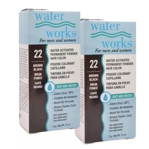 Water Works - Permanent Powder Hair Color - #22 Brown Black (2 Pack)