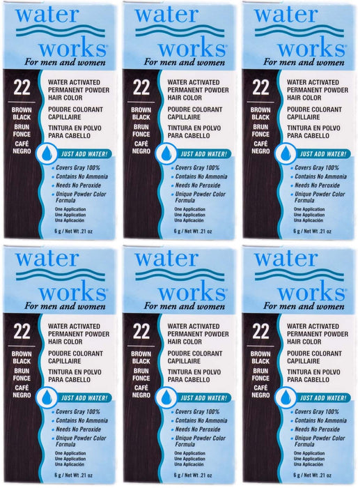 Water Works - Permanent Powder Hair Color - #22 Brown Black (6 Pack)