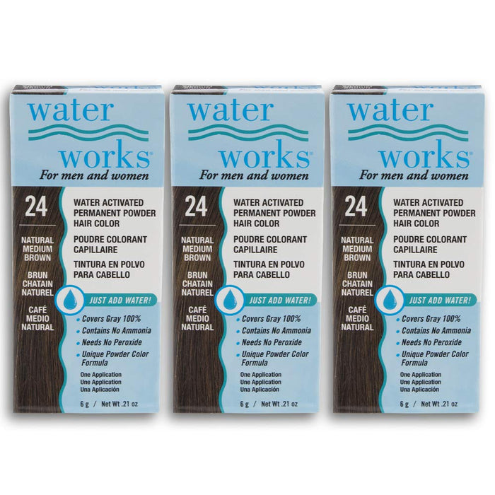 Water Works - Permanent Powder Hair Color - #24 Natural Medium Brown (3 Pack)