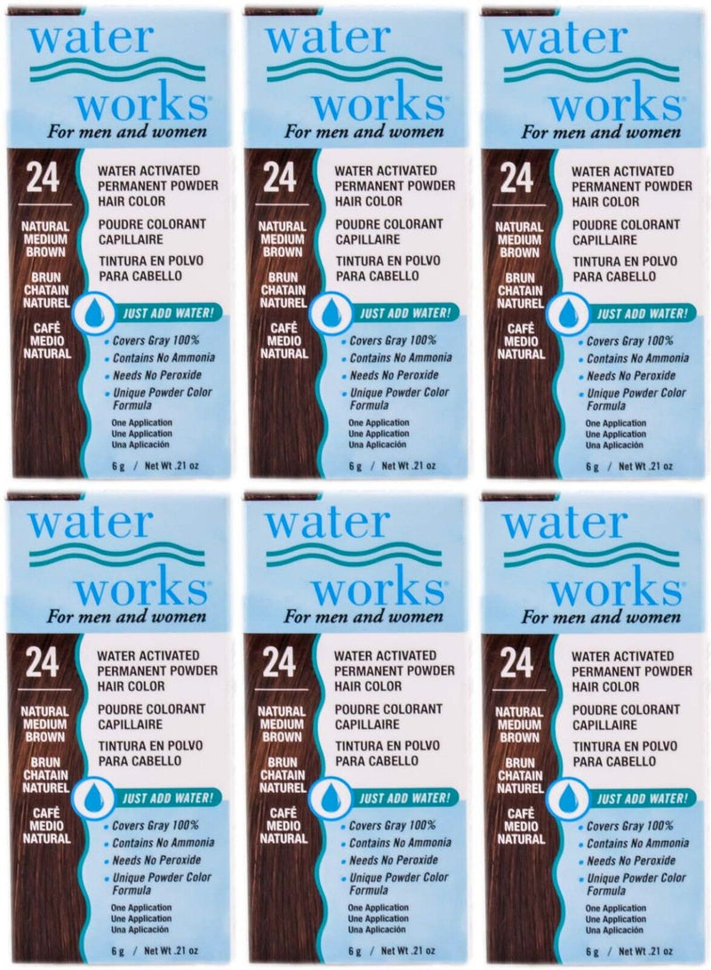 Water Works - Permanent Powder Hair Color - #24 Natural Medium Brown (6 Pack)