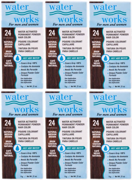 Water Works - Permanent Powder Hair Color - #24 Natural Medium Brown (6 Pack)