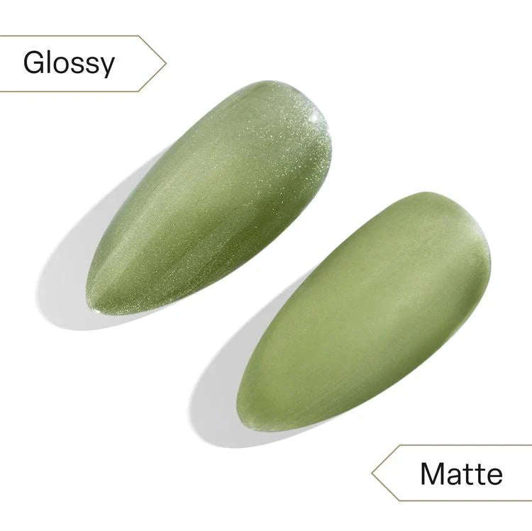 Apres - Cat Eye Gel Couleur - The World - CE20 0.5 fl oz