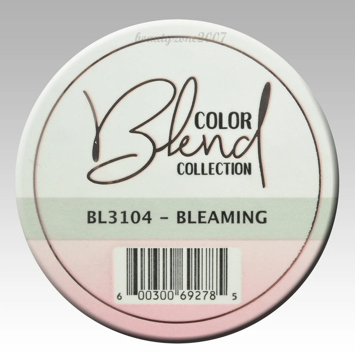 Glam and Glits Color Blend Nail Powder BL3104 - Bleaming 2oz
