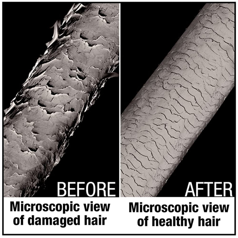 Agadir - Argan Oil Hair Shield 450 Spray Treatment 6.7 oz (2 Pack)