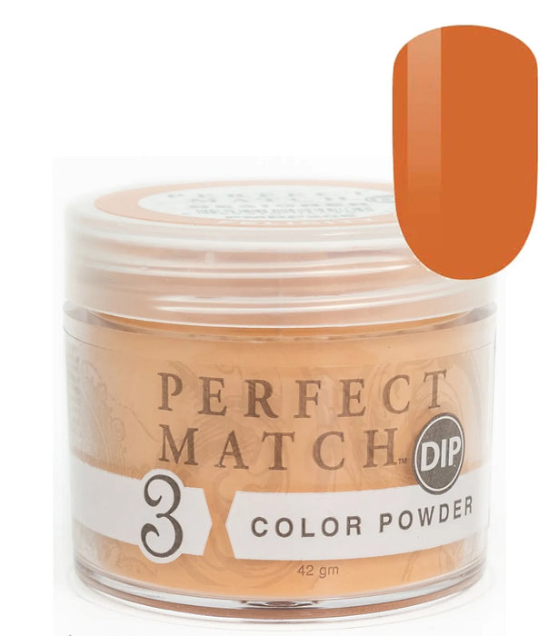 Perfect Match - 3in1 Powder - PMDP205 Felicity