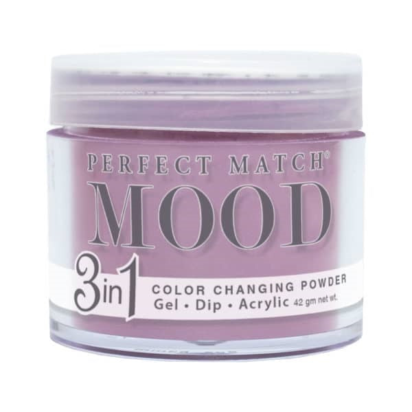 Perfect Match Mood Powder - PMMCP53 Day Break 42 g