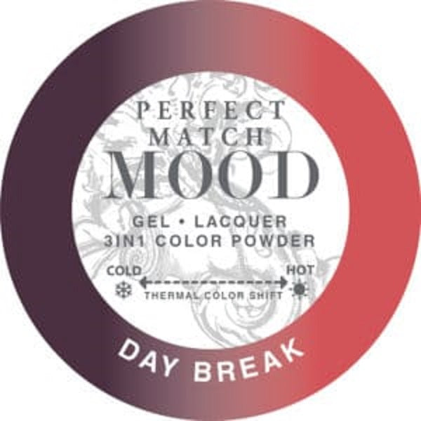 Perfect Match Mood Powder - PMMCP53 Day Break 42 g