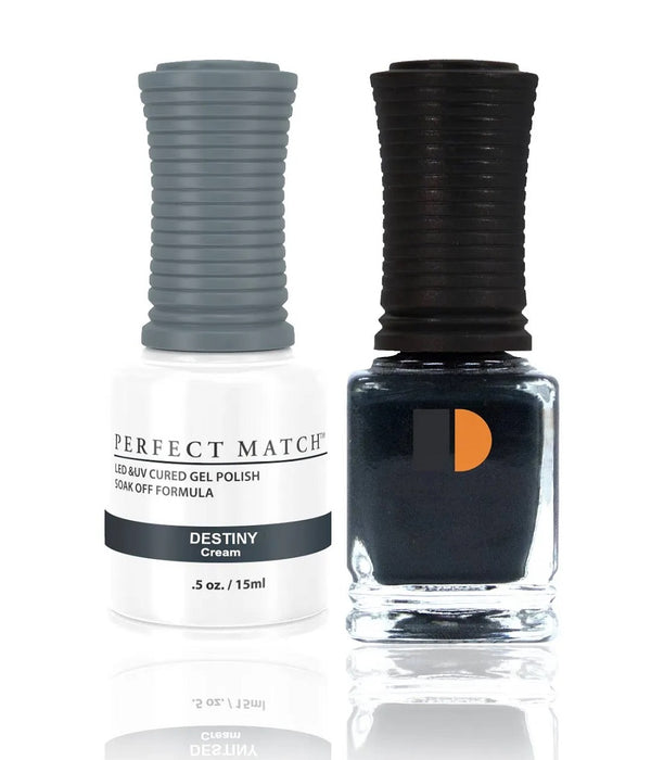 Perfect Match Duo - PMS209 Destiny